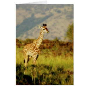 Tarjetas de vida salvaje Baby Giraffe