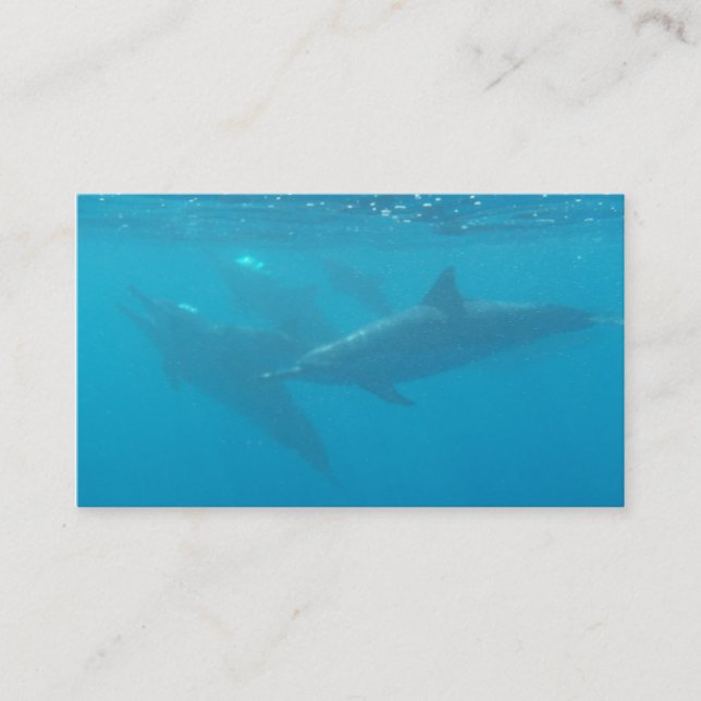 Tarjetas de visita adaptables de la compañía de (Anverso)