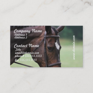 Tarjetas de visita árabes dulces del caballo