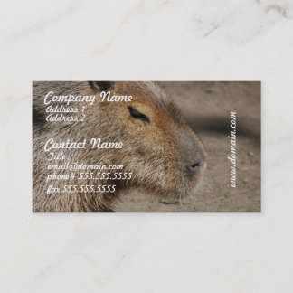 Tarjetas de visita australianas del Capybara