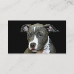 Tarjetas de visita azules del perrito de Pitbull