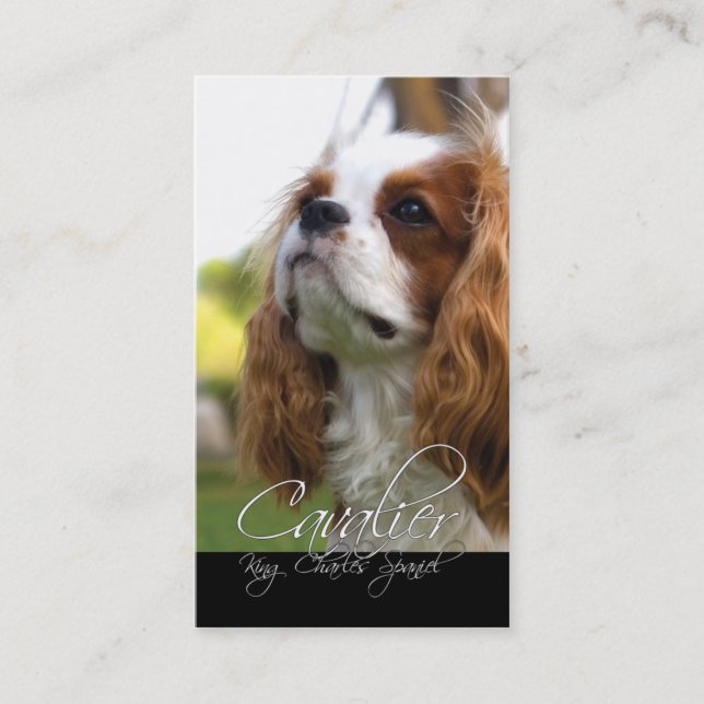 Tarjetas de visita Cavalier King Charles Spaniel (Anverso)