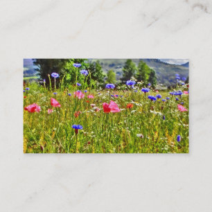 Tarjetas de visita coloridas del campo del
