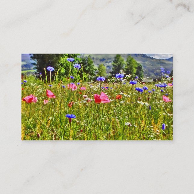 Tarjetas de visita coloridas del campo del (Anverso)