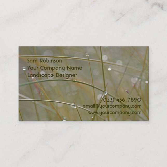 Tarjetas de visita cubiertas de rocio del paisaje (Anverso)