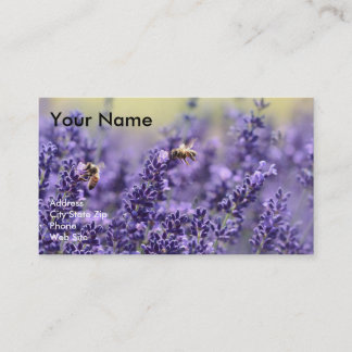 Tarjetas de visita de aceite esencial con lavanda