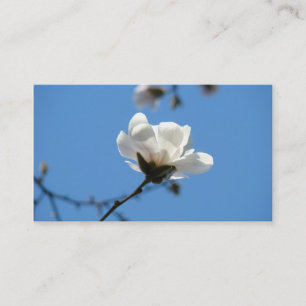Tarjetas de visita de flor de magnolia blanca ciel