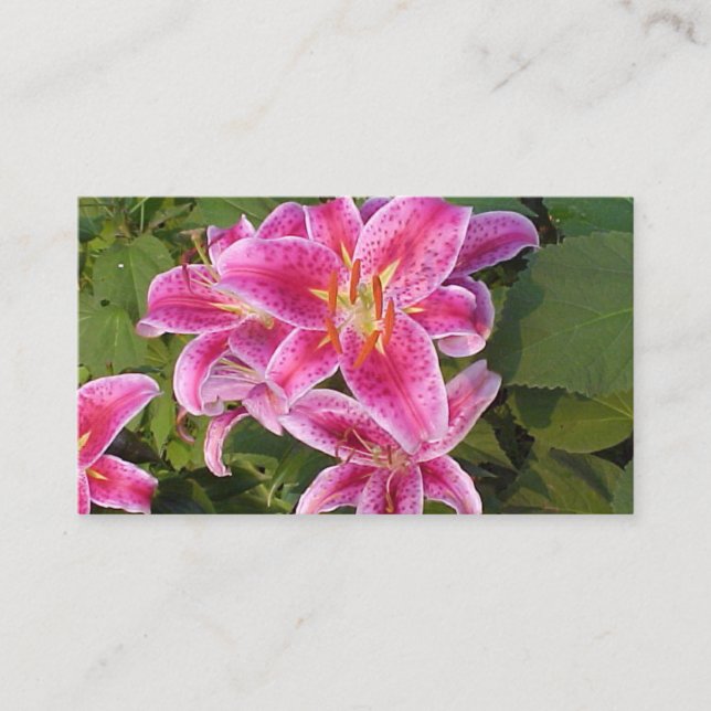 Tarjetas de visita de flores rosas (Anverso)