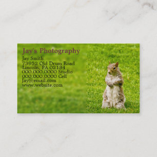 Tarjetas de visita de fotografía de plantilla