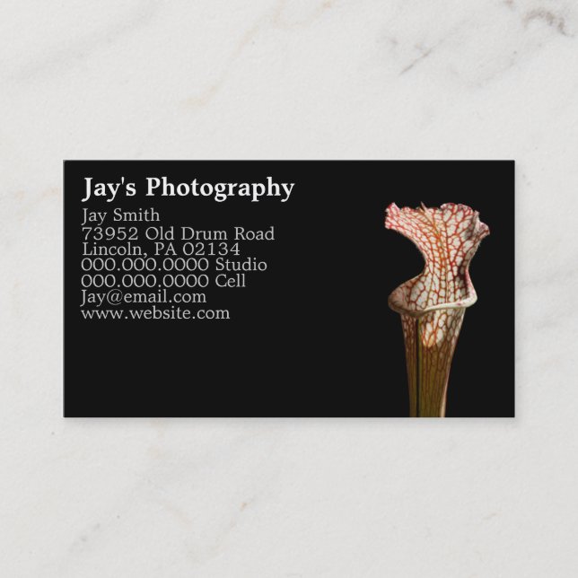 Tarjetas de visita de fotografía de plantilla (Anverso)