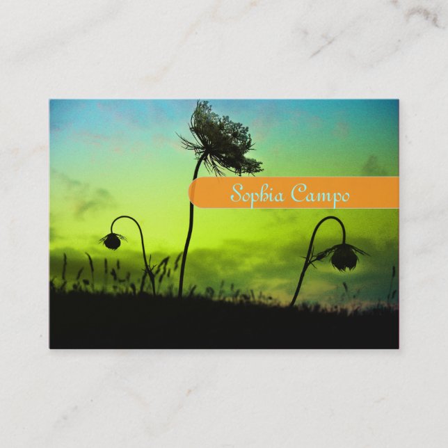 Tarjetas de visita de fotógrafo (Anverso)