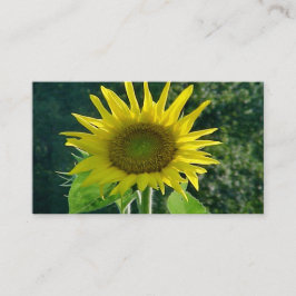 Tarjetas de visita de girasol