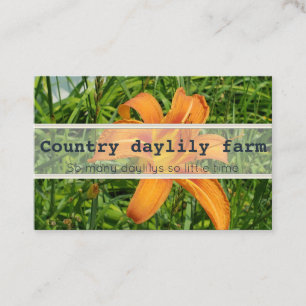 Tarjetas de visita de granja diaria