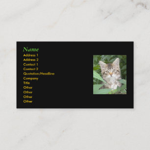 Tarjetas de visita de Kitten