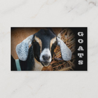 Tarjetas de visita de la granja de la cabra