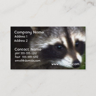 Tarjetas de visita de la máscara del mapache