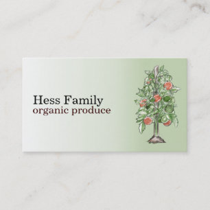 Tarjetas de visita de la planta de tomate