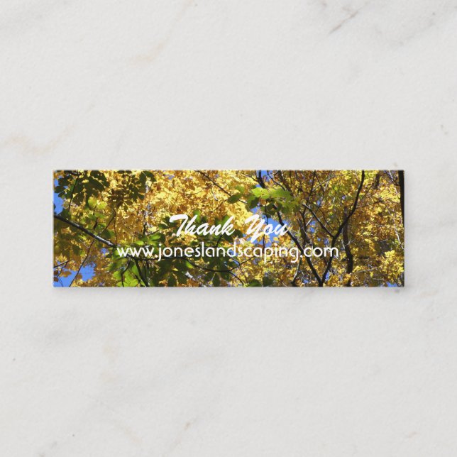 Tarjetas de visita de la silvicultura (Anverso)