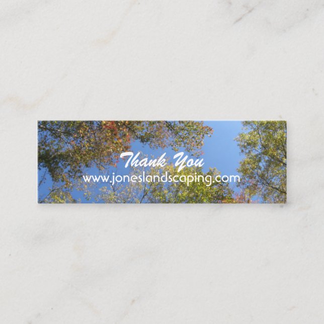 Tarjetas de visita de la silvicultura (Anverso)