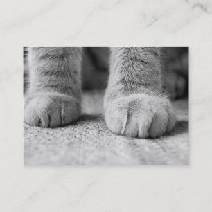 Tarjetas de visita de las patas del gato