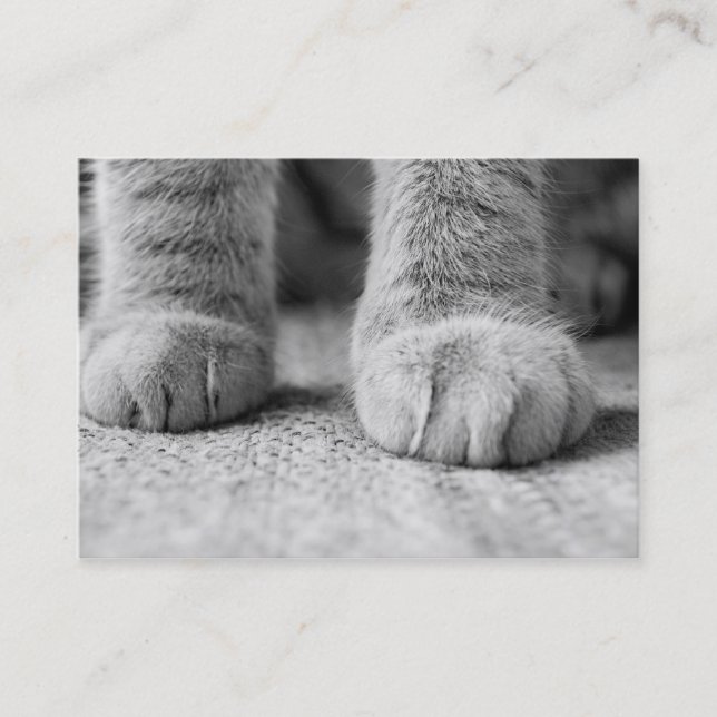 Tarjetas de visita de las patas del gato (Anverso)