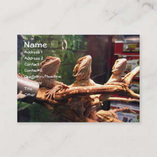 Tarjetas de visita de Leezerds