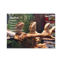 Tarjetas de visita de Leezerds