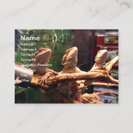 Tarjetas de visita de Leezerds