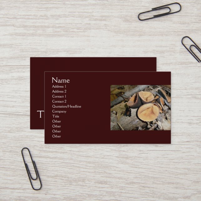 Tarjetas de visita de los hongos de la copa (Anverso/Reverso In Situ)