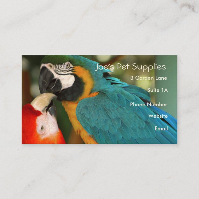 Tarjetas de visita de los Macaws (Anverso)