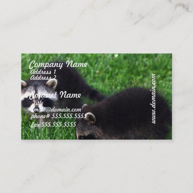 Tarjetas de visita de los mapaches del bebé (Anverso)
