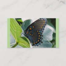 Tarjetas de visita de mariposa