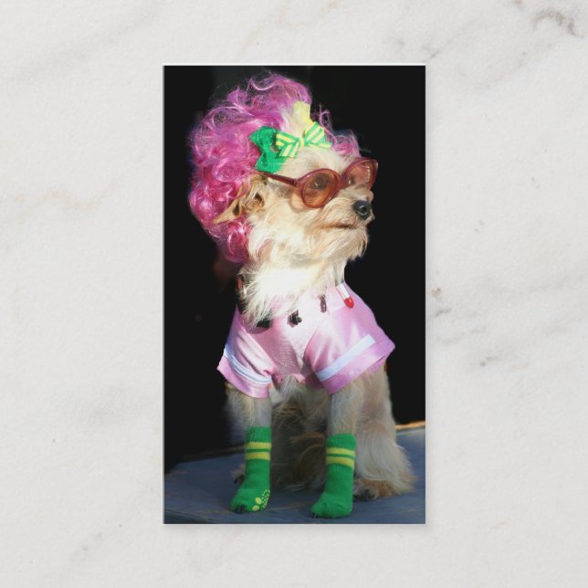 Tarjetas de visita de moda del perro de juguete (Anverso)