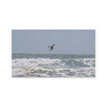 Tarjetas de visita de Ocean