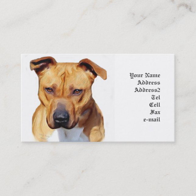 Tarjetas de visita de Pitbull (Anverso)