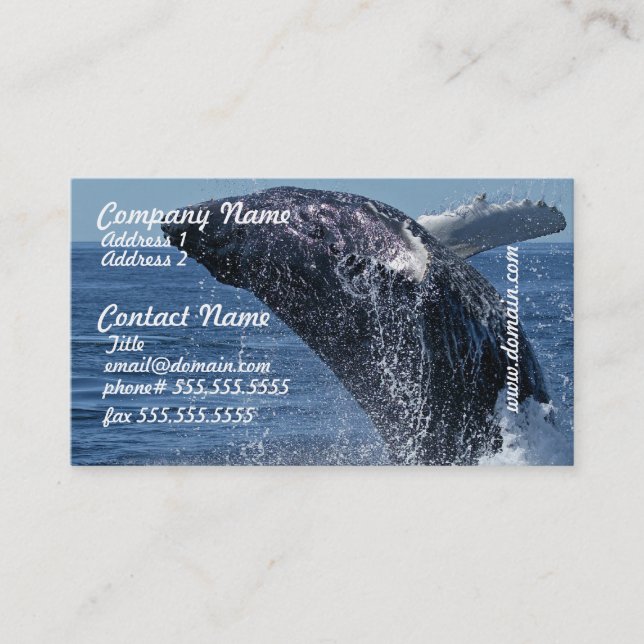 Tarjetas de visita de salto de la ballena jorobada (Anverso)