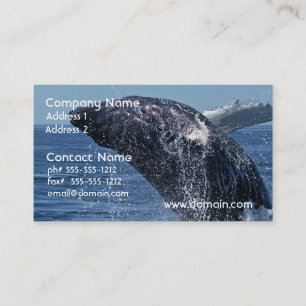 Tarjetas de visita de salto de la ballena jorobada