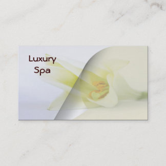 Tarjetas de visita de Spa
