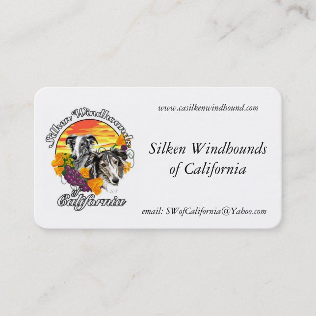 Tarjetas de visita de SWC Boofest 2015 (Anverso)