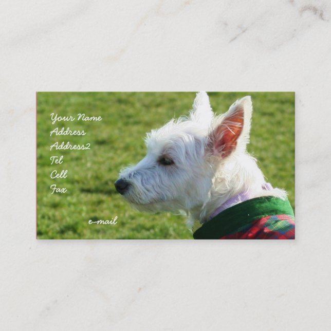 Tarjetas de visita de Terrier blanco de montaña (Anverso)
