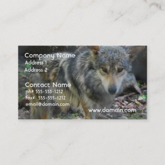 Tarjetas de visita de vagabundeo del lobo