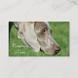 Tarjetas de visita de Weimaraner