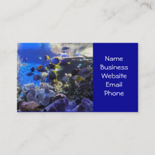 Tarjetas de visita del acuario 2