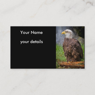 tarjetas de visita del águila calva