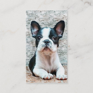 Tarjetas de visita del bulldog francés