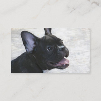 Tarjetas de visita del bulldog francés