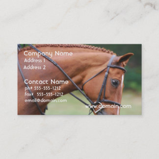 Tarjetas de visita del caballo de la demostración