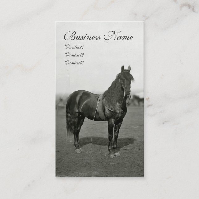 Tarjetas de visita del caballo de la unión de la (Anverso)