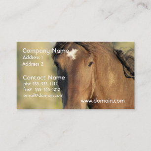 Tarjetas de visita del caballo de Morgan