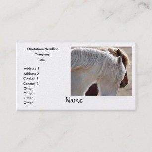 Tarjetas de visita del caballo de proyecto